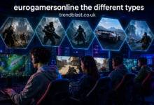 Eurogamersonline The Different Types