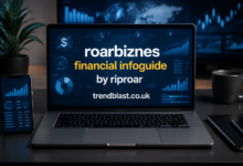 Roarbiznes Financial Infoguide by Riproar